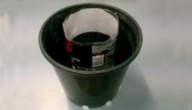 Black plant pot