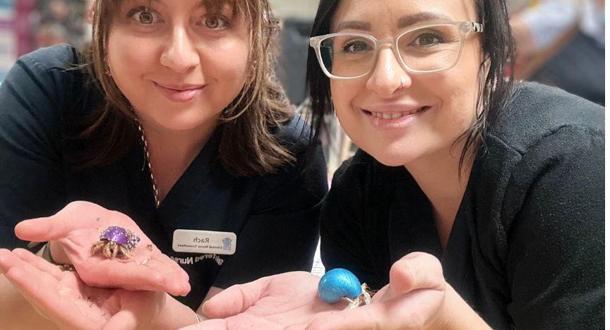 Two people holding hermit crabs with decorated shells, one purple and one blue, at a Logan Hospital event.